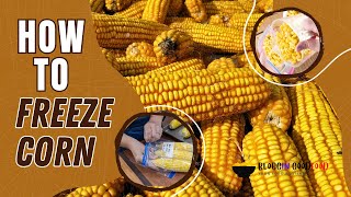 How to Freeze Corn? 2 Methods with Steps | Bloggin' Good Food