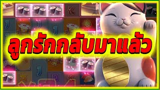 ลูกรักกลับมาแล้ว ► Lucky Neko PG สล็อต สล็อตpg สล็อตแตก