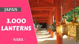 Nara Kasuga Taisha temple of 3000 lanternes Japan