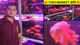 😍 इंदौर Fish market।।मछलीबाजार इंदौर।।indore pet fish market indore।।indore pet animal market।।nitin