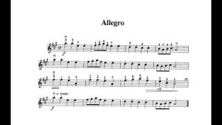 [Piano Accompany] Allegro - Suzuki Violin Book 1 (80% Tempo)