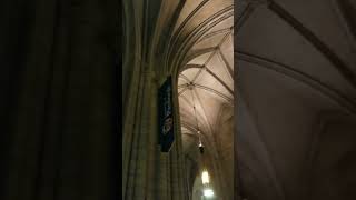 Inside the University of Pittsburgh's Cathedral of Learning 🗼