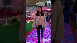 Tung chung citygate CNY FLOWERS DISPLAY