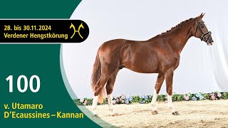 No. 100 Stallion by Utamaro D'Ecaussines - Kannan | Verden Stallion Licensing 2024- Jump- Nov. 29/30