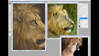 Making of Lion Digital Sketch by Dhimant Vyas