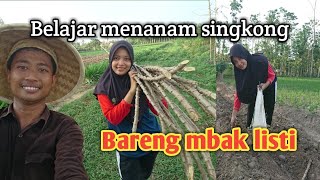 Vlog bareng istri | belajar jadi petani singkong | #tani klutuk