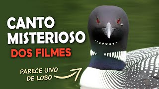 9 CANTOS de AVES QUE VOCÊ PROVAVELMENTE JÁ OUVIU EM FILMES!