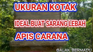 PEMULA HARUS TAU SANGAT DI REKOM INI LAH UKURAN KOTAK IDEAL LEBAH MADU APIS CARANA