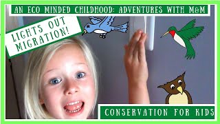 Conservation Projects For Kids: Lights Out Migration