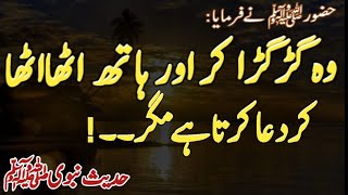 Wo Hath Utha Utha Kar Dua Karta Hai Magar | Haram O Halal | Noore Hadees | Hadith | AQH Official