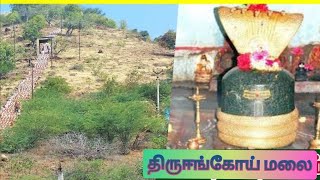 மாலையில் வணங்க வேண்டிய திருஈங்கோய் கோவில் பாடல்