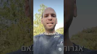 ניהול תיק השקעות בחשבון הבנק הפרטי