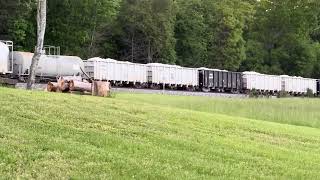 NB NS 2 lead unit 4309-8054 in Cohutta Georgia with ED Painter 04/29/24