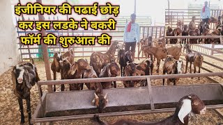 इंजीनियर की पढाई छोड़ कर इस लडके ने बकरी फॉर्म की शुरुआत की // K.D Goat Farm Ajmer #farmingvideos