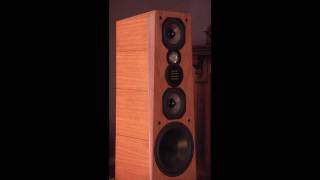 Legacy Audio Focus SE Cherry