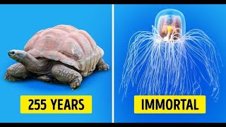 Top 10 Animals with the Longest Lifespans on planet earth||free documentary #documentary #animals