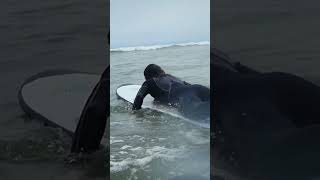 Surf y Vistas Espectaculares en MIRAFLORES: Un Día Inolvidable 🌊🏄‍♂️