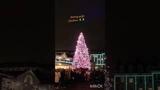 London Gearing up for Christmas #london#christmastree#christmaslights