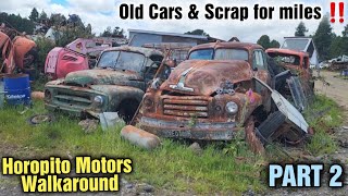 Horopito Motors Walkaround (Revisted Part 2) | Smash Palace NZ, Old School Car Wreaker New Zealand