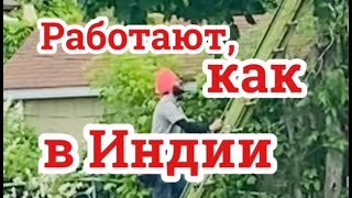 Индийские работники на проводах. Гроза в дороге застала. Индийский ресторан