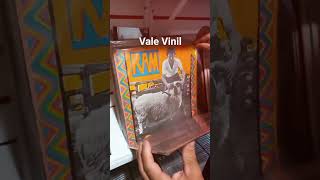 Vale Vinil