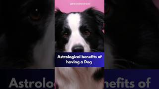 Astrological benefits of having a dog 🐕