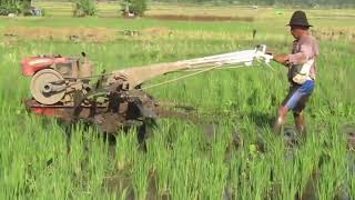 Membajak Sawah di Lahan Subur Rumput Traktor Sawah Quick G3000