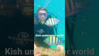 Amazing underwater world. Wonders of the world underwater. #kish_island #underwater_world #diving