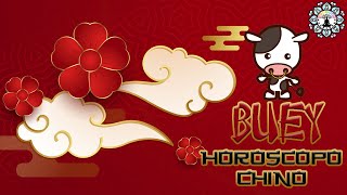 Horóscopo Chino🏮🏮 Características del BUEY 2020 🐮 🏮¡Descubre que animal eres del horóscopo chino!🏮