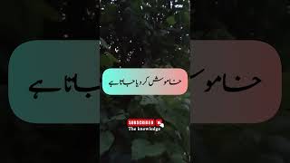 Best urdu quotes| urdu quotes | urdu poetry | urdu shayari #shorts #viral urdu quotes