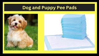 Dog and Puppy Pee Pads  👩‍🍳