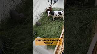 СЕНСОРНАЯ КОРОБКА ФЕРМА ДЛЯ МАЛЫШЕЙ 🌾🐄