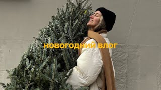 112; VLOGMAS. НАРЯЖАЕМ ЕЛКУ, ПОКУПКА МАШИНЫ, РОЖДЕСТВЕНСКИЙ НЬЮ-ЙОРК