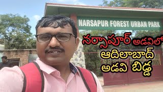 Narsapur Forest Urban Park | Chandranna vlogs