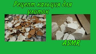 Как сделать кальций для улиток? | Кальций для улиток | ASMR