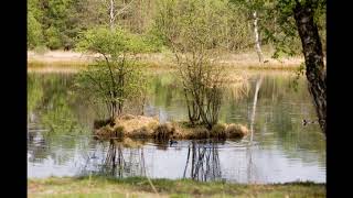 Haaksbergen-Buurserzand-Haaksbergerveen-Het Lankheet-Witteveen