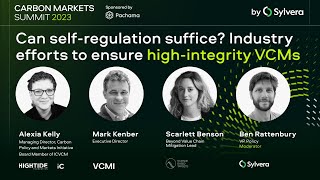 Can self-regulation suffice? Industry efforts to ensure high-integrity VCMs