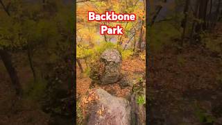 Hiking Backbone State Park Dundee Iowa #nature