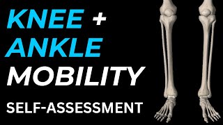 Knee + Ankle Mobility Self-Assessment