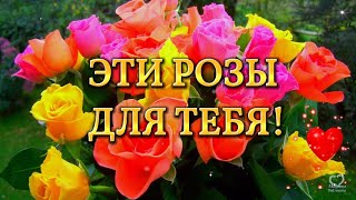 ЭТИ РОЗЫ ДЛЯ ТЕБЯ!🌹 ДАРЮ ТЕБЕ Я ЭТИ РОЗЫ 🌹 ЖЕЛАЮ ТАК ЖЕ ВОТ ЦВЕСТИ!🌹🌹🌹🌹🌹🌹🌹🌹🌹🌹🌹🌹🌹🌹🌹🌹🌹🌹🌹🌹🌹🌹🌹🌹🌹🌹🌹🌹🌹🌹🌹🌹🌹