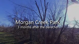 Morgan Creek Park - 3 Months after Derecho