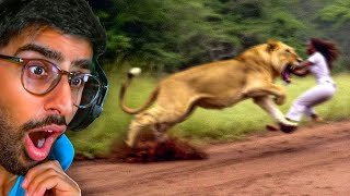 Scary Animal Encounters Caught On Camera