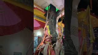 #nature#mann tera mandir#durgapuja#bhakti#song#jaimatadi#status#ytshorts#matarani#anuradhapaudwal