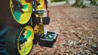 Cruising The FPV Drone In The Forest On Golden Hour