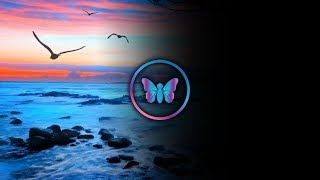 10 Hours Relaxing Ocean Waves And Seagulls For Deep Sleep | Fade To Black Dark Screen | Sleep Sounds