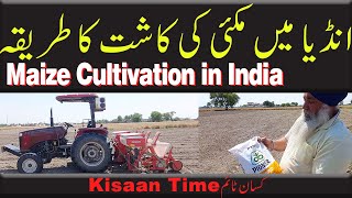 Maize cultivation in India men Maki ki Kasht Makai ki kasht kisan time kissan time kisaan time