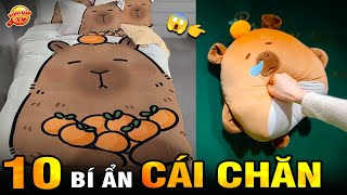 🔥 10 Bí Ẩn Ly Kỳ và Thú Vị về Cái Chăn Đắp Bao Lâu Nay Nhưng 99% Bạn Chưa Biết I Kính Lúp TV