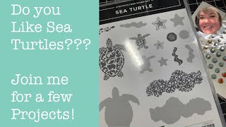 Sea Turtles Projects Tutorial