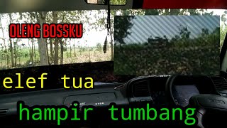 SUASANA DALAM KABIN TRUK ELEF TUA SAAT KELUAR DARI LAHAN TEBU