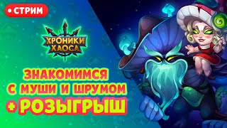 СТРИМ: Знакомимся с Муши и Шрумом! | Хроники Хаоса